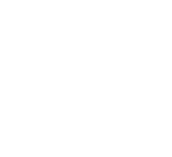 Stern TV